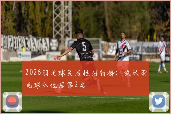2026羽毛球灵活性排行榜：武汉羽毛球队位居第2名