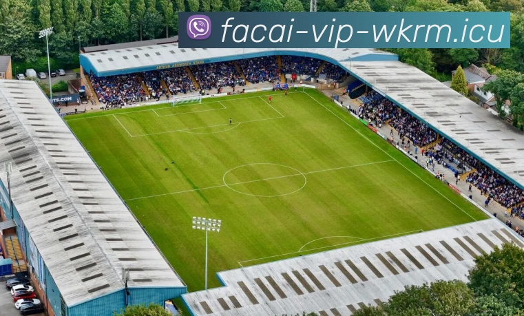 乐竞体育APP 封面图